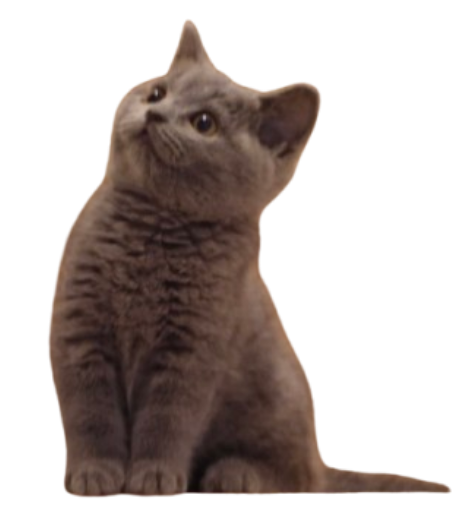 무무